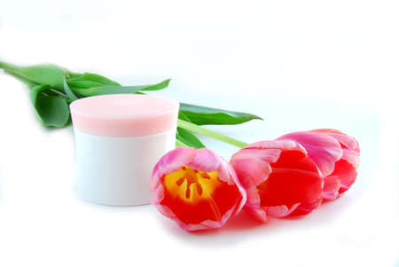 Pink tulips and cream on white backgroundの写真素材