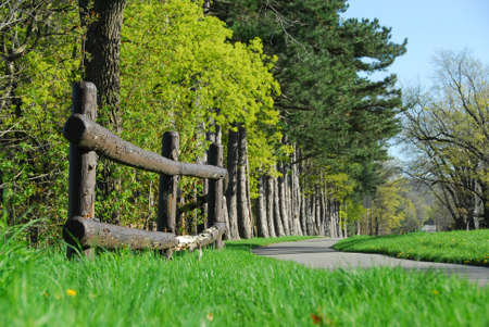 Spring park with cycling path