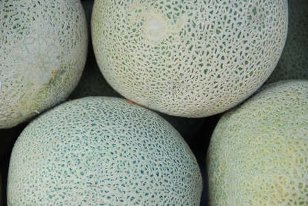 Whole melons at fruit marketの写真素材