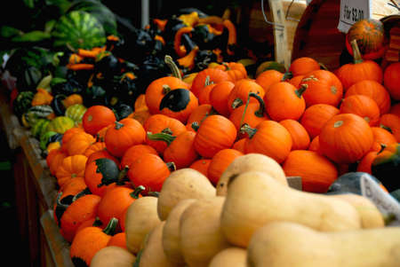 Fall farmers marketの写真素材