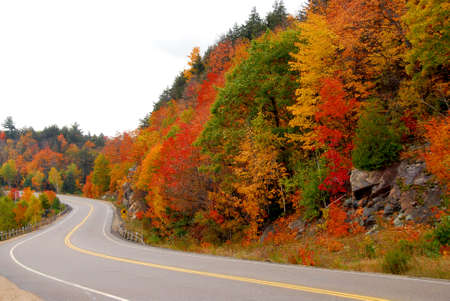 Fall highway in northern Ontario, Canadaの写真素材