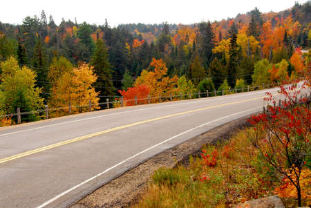 Fall scenic highway in northern Ontario, Canadaの写真素材