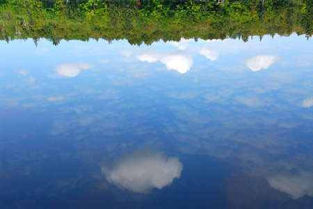 Reflections of clouds and forest in a still water of a wilderness lakeの写真素材