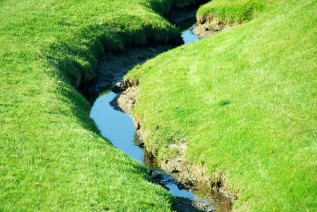 Small brook among fresh green summer grassの写真素材