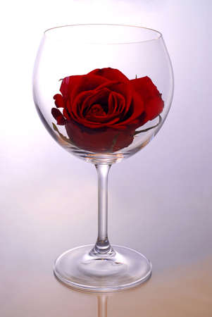 Red rose blossom inside of a red wine glassの写真素材