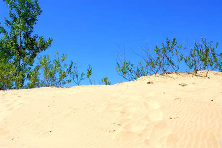 Landscape of sand dunes with clear blue skyの写真素材