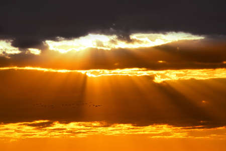 Rays of sun shining through the clouds at sunset