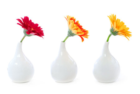 Three vases with gerbera flowers isolated on white background as interior design elementの写真素材