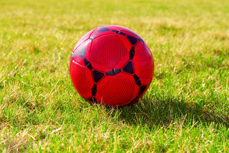 Red soccer ball on green grass fieldの写真素材