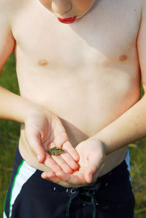 Young boy holding a tiny frog in his handsの写真素材