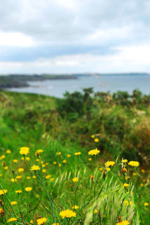 Summer lansdcape of Atlantic coastline in Brittany, Franceの写真素材