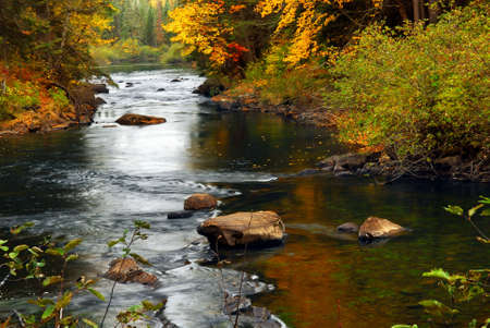 Forest river in the fall. Algonquin provincial park, Canada.の写真素材