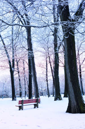 Winter park covered with snow at dusk. Beach area, Toronto, Canada.の写真素材