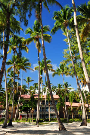 Palm trees surrounding a hotel at tropical resort in Dominican Republicのeditorial素材