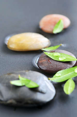Zen stones submerged in water with green leavesの写真素材