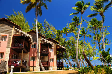 Luxury tropical resort on ocean shore with palm treesのeditorial素材