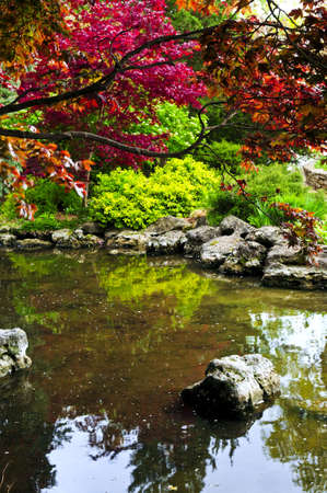 Pond with natural stones in japanese zen gardenの写真素材