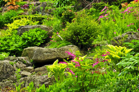 Rock garden with various plants and flowersの写真素材