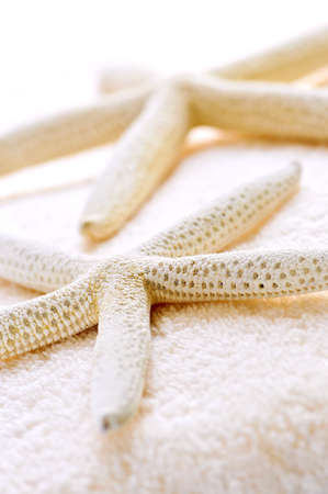Dried starfishes on luxury soft towel close upの写真素材