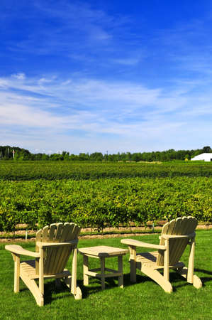 Muskoka chairs and table near vineyard under blue skyの写真素材