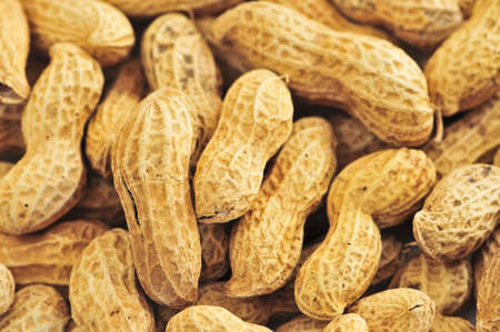 Closeup on pile of peanuts with shells