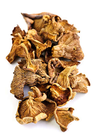 Dried chanterelle mushrooms isolated on white backgroundの写真素材