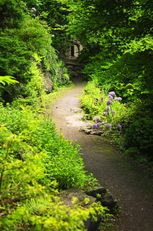 Hiking trail in a sunlit forest in Ontario Canadaの写真素材