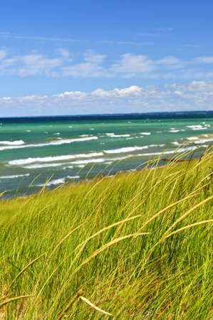 Grass on sand dunes at beach. Pinery provincial park, Ontario Canadaの写真素材