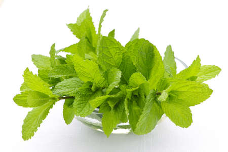Bunch of fresh mint sprigs in clear glass bowl