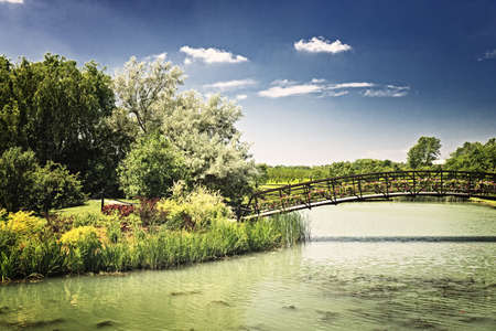 Foot bridge over pond near orchard on summer dayの写真素材