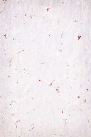 Background of vintage parchment paper sheet with fibersの写真素材