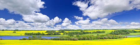 Panoramic landscape prairie view of canola field and lake in Saskatchewan, Canadaの写真素材