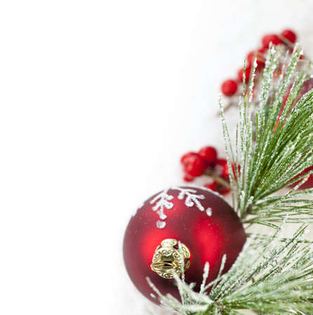 Red Christmas decoration with pine needles with copy spaceの写真素材