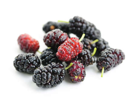 Fresh ripe mulberry berries isolated on white backgroundの写真素材