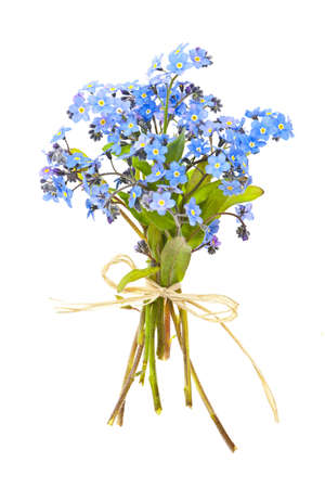 Bouquet of blue wild forget-me-not flowers tied with bow isolated on whiteの写真素材