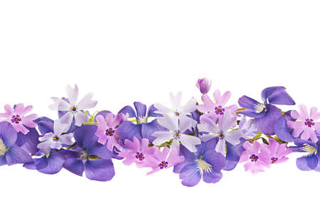 Arrangement of purple violets and moss pink flowers isolated on white background Arrangement of purple violets and moss pink flowers isolated on white background