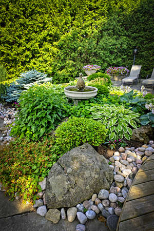 Lush perennial garden with fountain plants and treesの写真素材