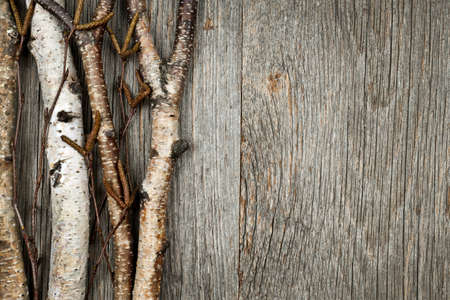 Birch tree trunks and branches on natural wood background with copy spaceの写真素材