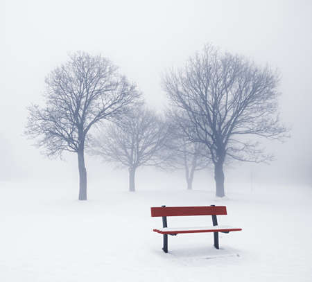 Foggy winter scene with leafless trees and red park benchの写真素材