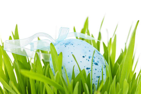 Blue speckled easter egg with ribbon in green grass