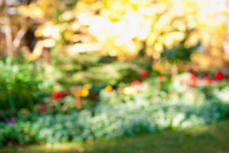 Abstract blurred out of focus background with flower gardenの写真素材