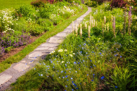 Summer garden with paved path and blooming wildflowersの写真素材
