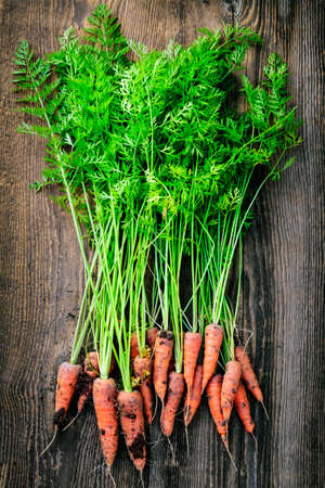 Bunch of orange carrots fresh from garden with dirt on old rustic wood backgroundの写真素材