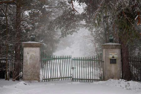 Spooky old broken gate on driveway in winterの写真素材