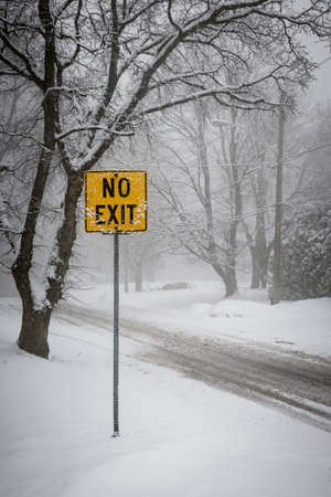 Stormy winter road and trees covered in snow with Yellow No Exit signの写真素材