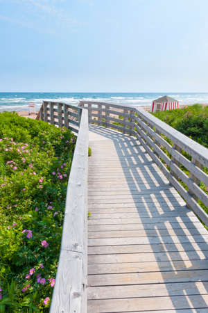 Wooden boardwalk leading to Atlantic beach with lifeguard hut and wild rose flowers in Prince Edward Island, Canadaの写真素材