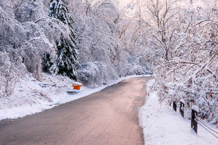 Winter road through icy forest covered in snow after ice storm and snowfall. Ontario, Canada.の写真素材