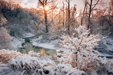 Winter landscape of snow covered forest with flowing river after winter snowstorm glowing and sparkling in warm sunshine. Ontario, Canada.の写真素材