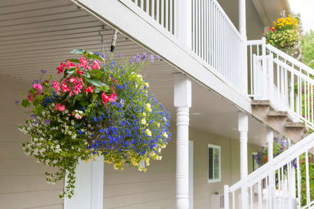 Colorful hanging flower basket decorating house exterior with copy spaceの写真素材