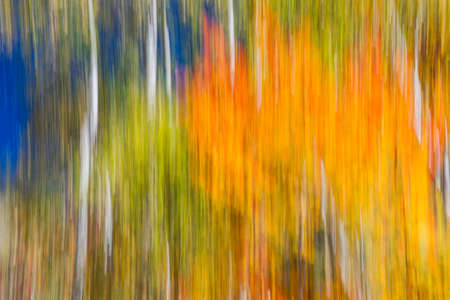 Abstract landscape of colorful autumn forest with bright orange and yellow fall foliage and blue sky.  Image produced by camera motion.の写真素材